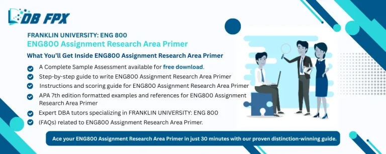 ENG800 Assignment Research Area Primer