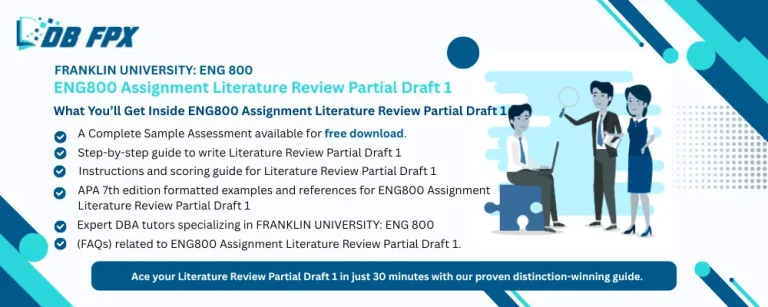 ENG800 Assignment Literature Review Partial Draft 1