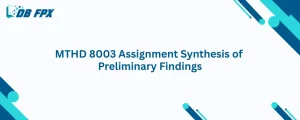 MTHD 8003 Assignment Synthesis of Preliminary Findings